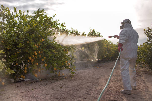 Spider Control Near Me in Sunriver, OR