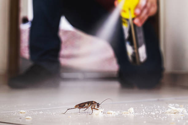 Pest Control for Restaurants in Sunriver, OR