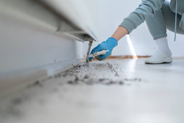 Best Pest Prevention Services  in Sunriver, OR